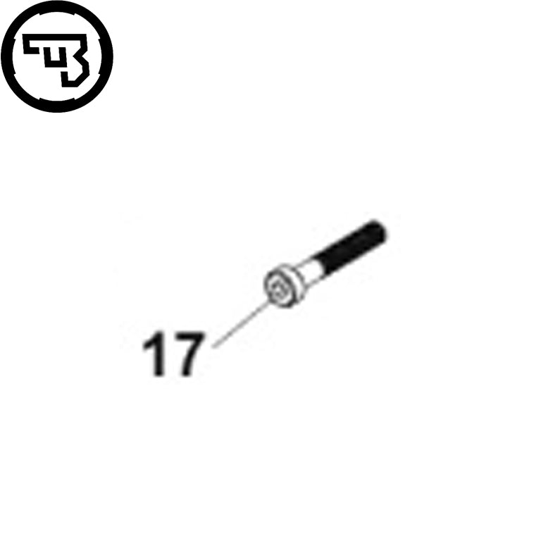 CZ Scorpion Evo vite | parte #17